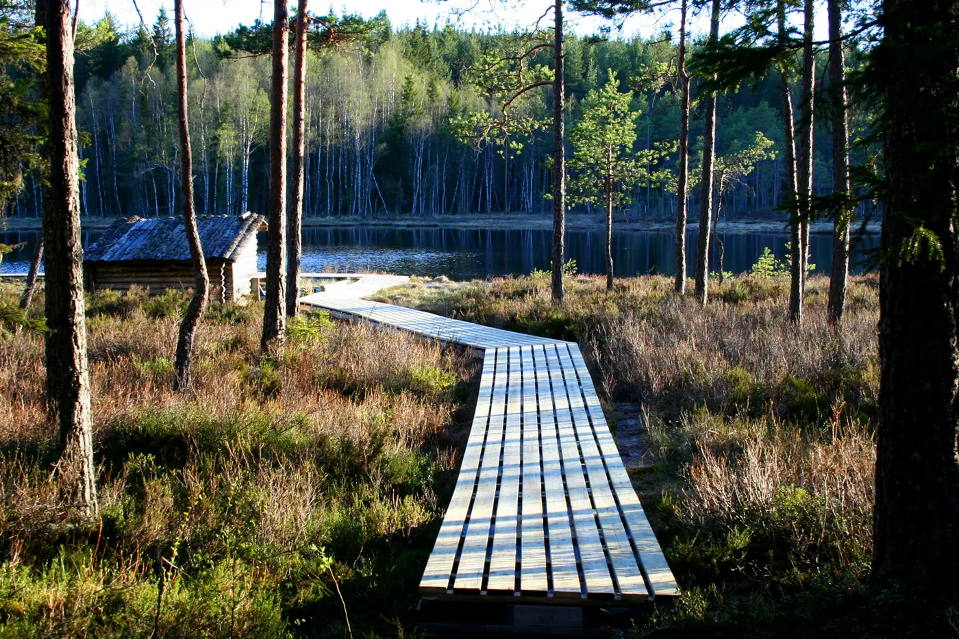 Kytjärn Grangärde Fiske · Bilder 2