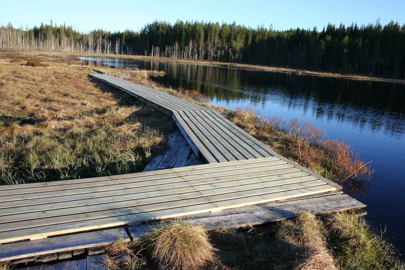 Kytjärn Grangärde Fiske · Bilder 3
